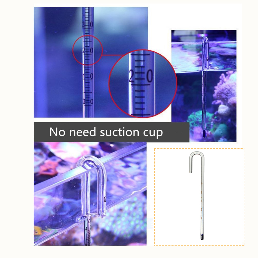 Accurate professional glass water thermometer Buy wallmounted hook